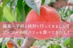 福島市へ子供と桃狩り行ってきました！プルプルの桃パフェも食べてきたよ！